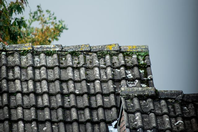 Regelmatige dakinspectie voor woningonderhoud