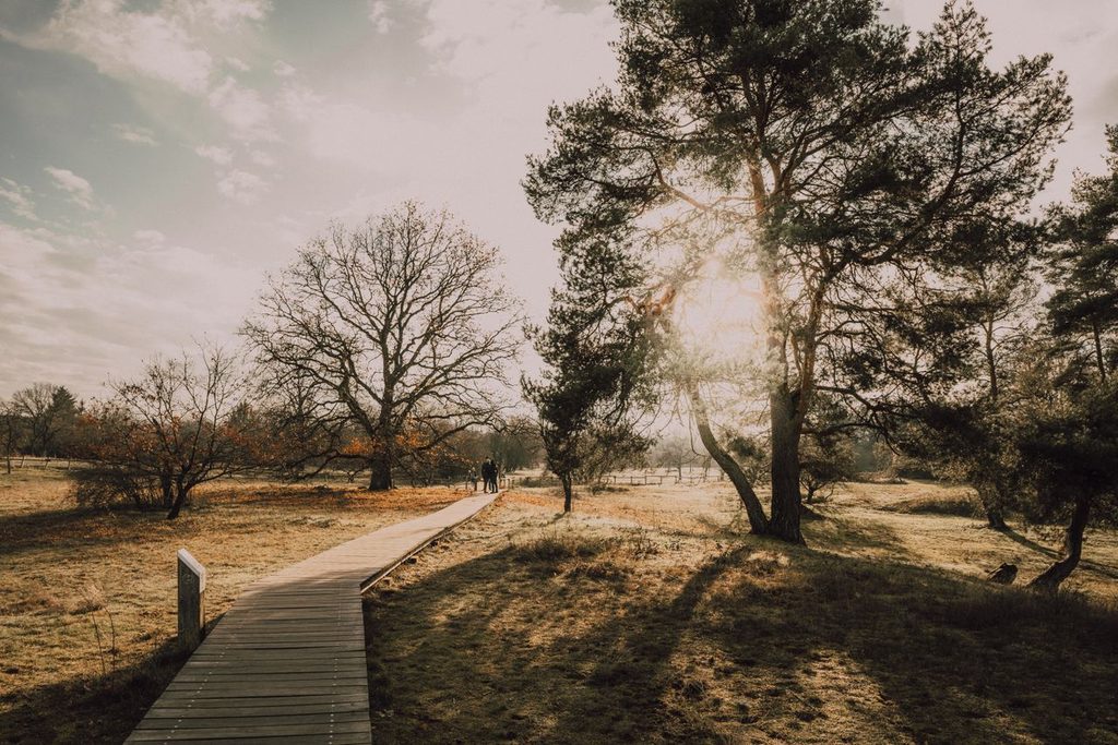 Wonen op de Veluwe natuur
